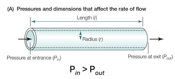 <ul><li><p>Describes how flow (Q) through a cylindrical vessel depends on the pressure difference and resistance</p></li><li><p><span>Where P1-P2 is the pressure difference between the entrance and exit of the vessel, and R is the resistance to flow</span></p></li><li><p><span>This means that greater pressure differences increase flow, while greater resistance decreases flow</span></p></li></ul><p></p>