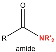 <p>amide</p>