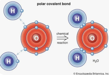 <p>Polar covalent bond</p>