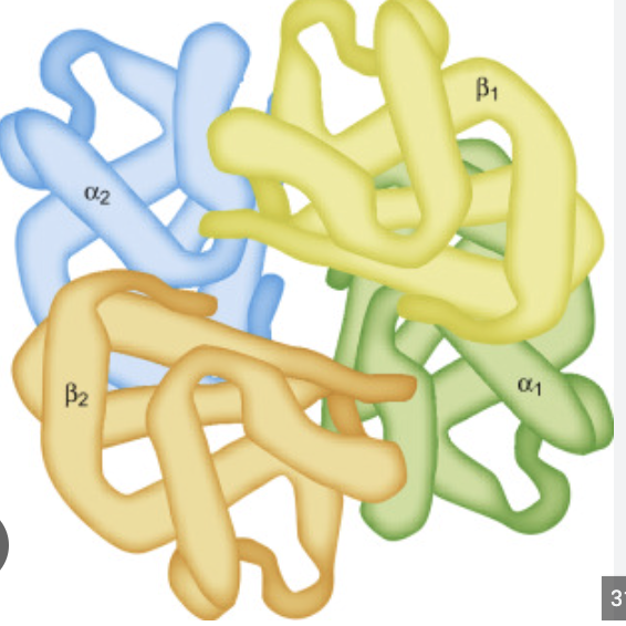 <p>Quaternary structure</p><p>Bond: interactions between multiple polypeptide chains</p><p>Structure: arrangement of multiple protein subunits </p>