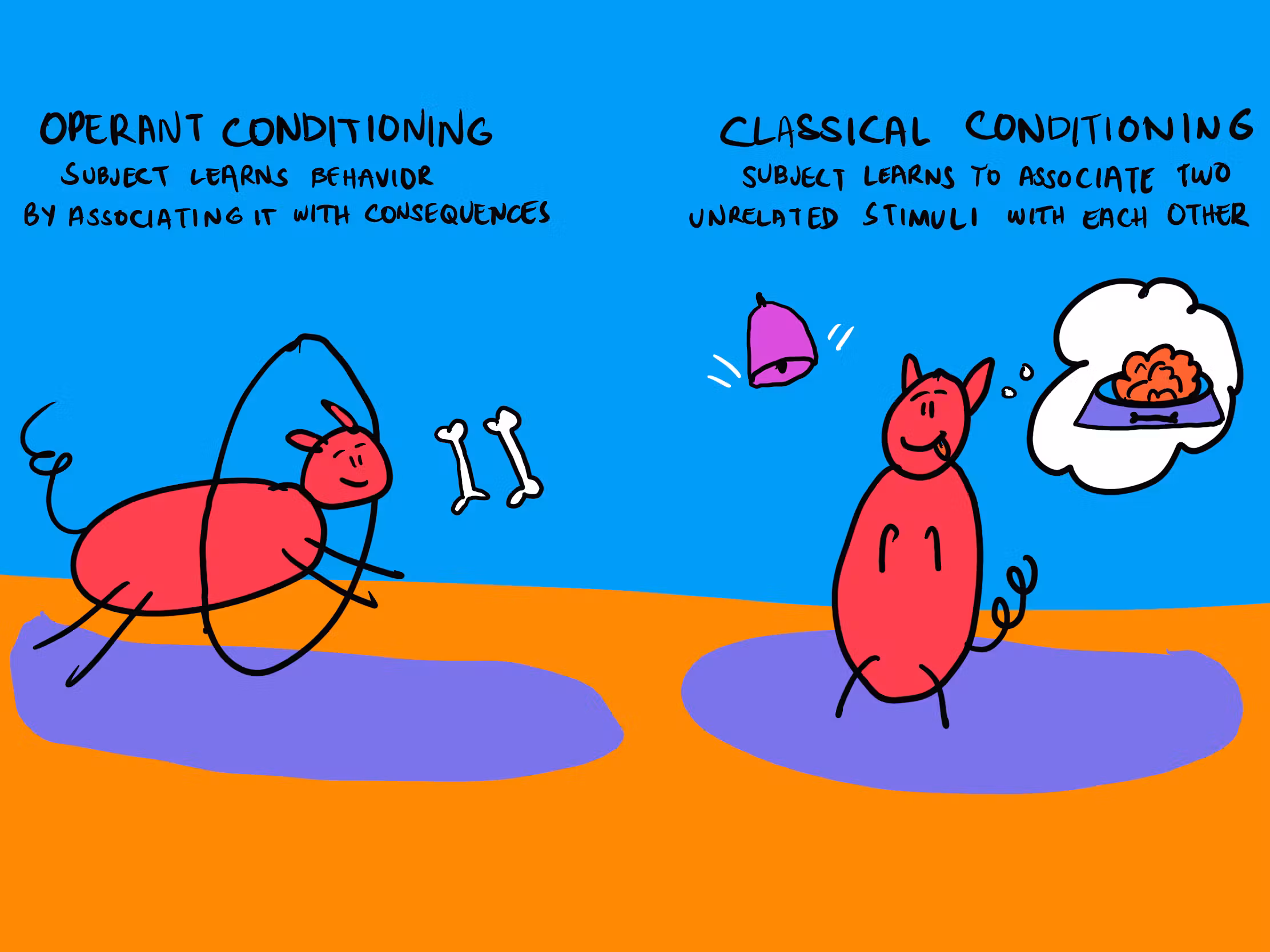 <p>Behaviorism</p>