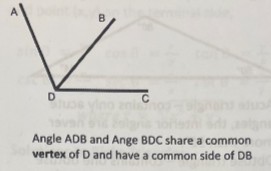 <p>Adjacent angles</p>