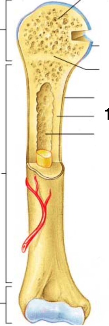 <p>What is this and what category is it</p>