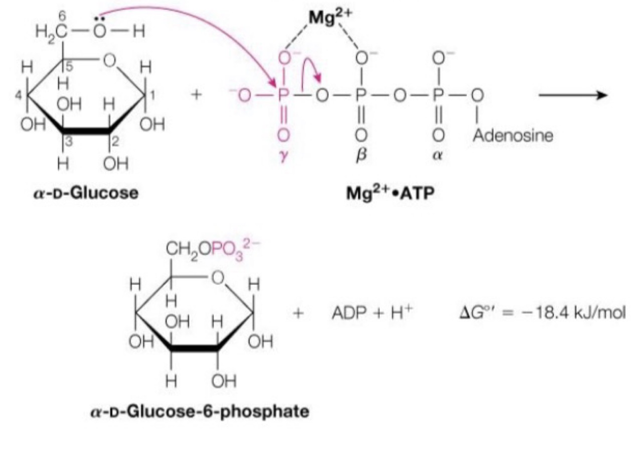 <p>What reaction number is this?</p>