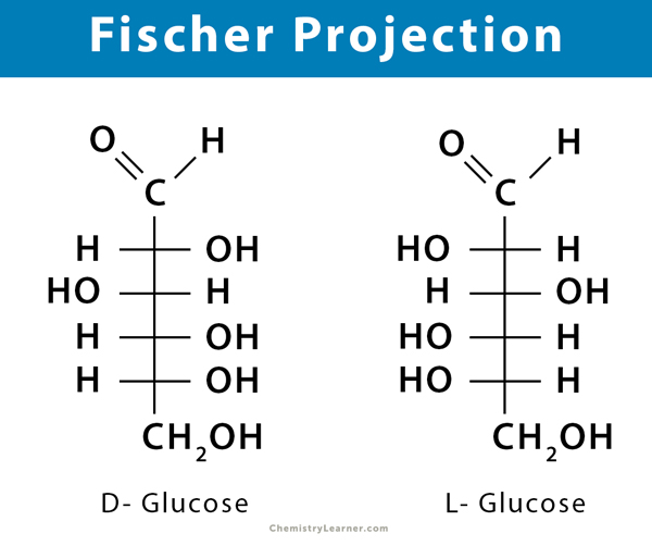 <p>(see image) A <strong>Fischer projection</strong> is a two-dimensional way of drawing the three-dimensional structure of molecules</p>