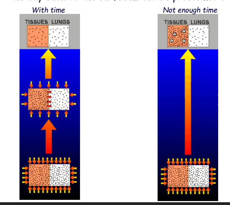 <p>It expands out in bubbles to the rest of the body (Decompression Sickness, DCS)</p>