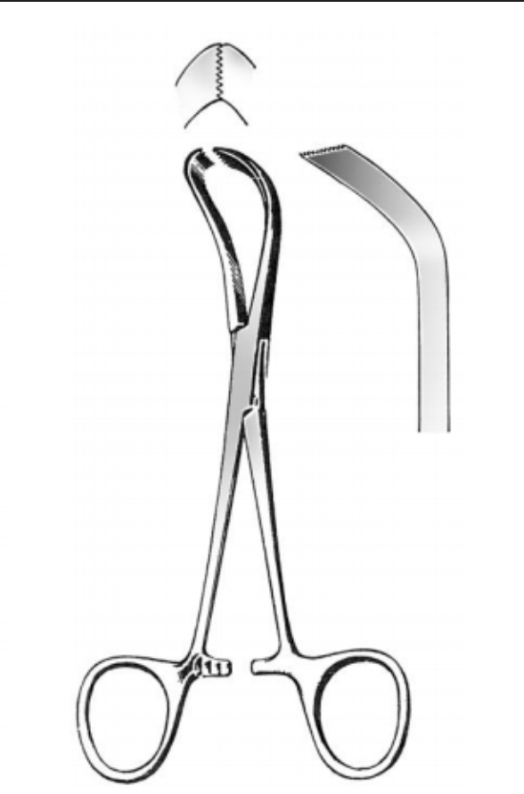 <p>What is this instrument? </p>
