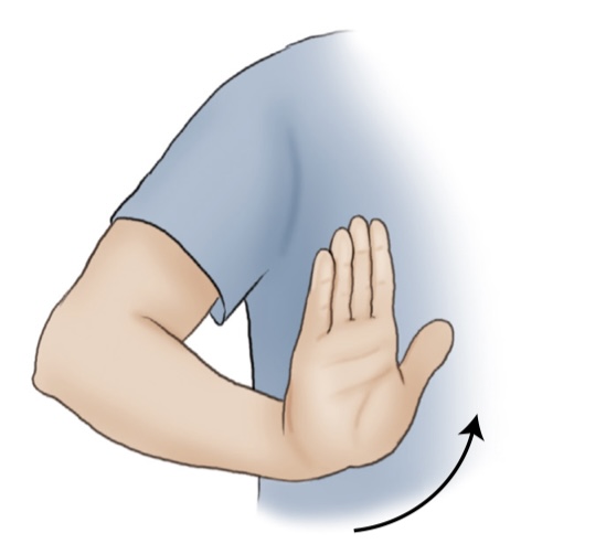 <p>what is the movement here?</p>