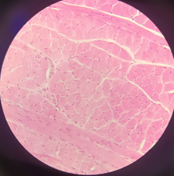 <p>What is this?</p>