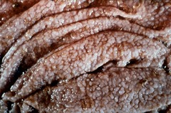 <p>Ostertagia ostertagi </p><p>**pathognomonic!</p>