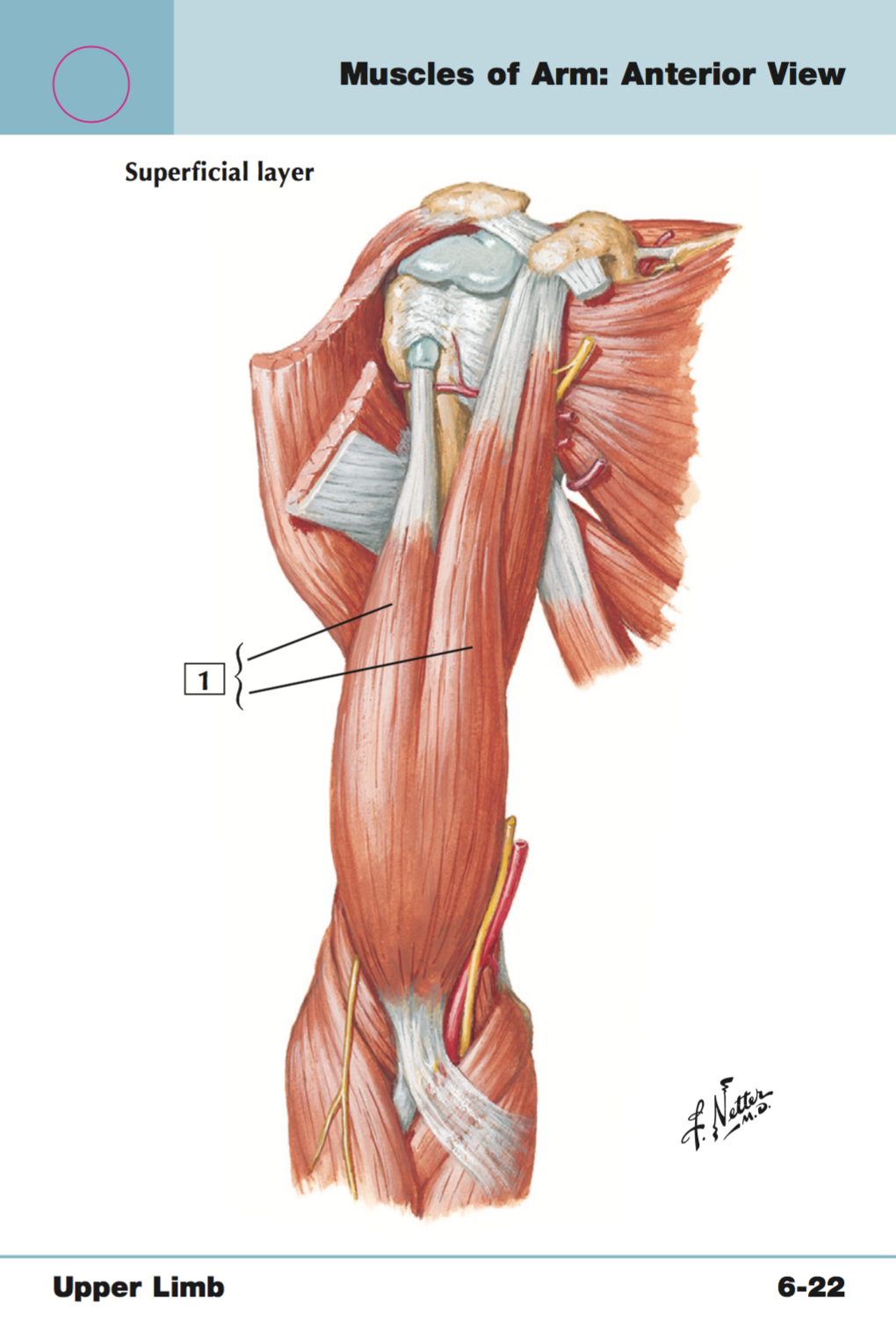<p>+origin/insertion</p>