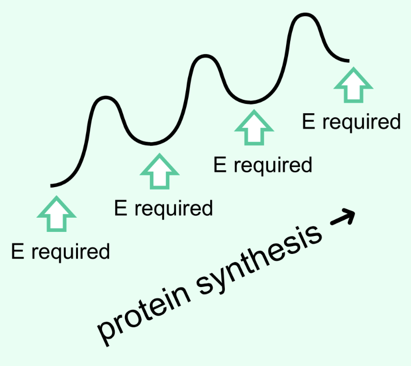 <p>What does it mean that ΔG values are additive?</p>