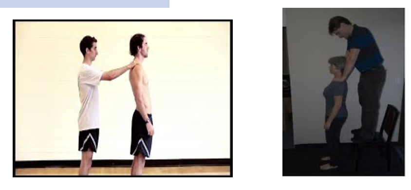 <p><strong>-Elbow Flexion Test: </strong>Patient stands with arms at side, elbows flexed to 90 degrees and normal base of support.&nbsp; Evaluator puts pressure through the patient’s forearms in a downward vertical direction.&nbsp; An inability to accept this weight without buckling or bending in the lumbar spine indicates poor core stability.</p><p class="MsoNormal"><strong>-Push Test:</strong> Patient stands with normal base of support.&nbsp; Evaluator gives quick, random horizontal pushes through patient’s shoulders in variety of directions.&nbsp; Inability to maintain balance indicates poor core stability.&nbsp; Can also be done with patient standing with staggered stance.</p><p class="MsoNormal">-<strong>Vertical Compression Test:</strong> Patient stands with arms at side and normal base of support.&nbsp; Evaluator puts quick, strong downward vertical pressure through patient’s shoulders.&nbsp; Buckling or bending in the lumbar spine indicates poor core stability.&nbsp; Can also be done with patient sitting and or with PT standing on a stool/chair/mat.</p>