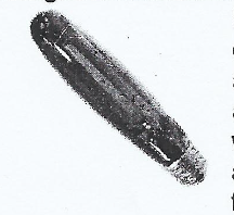 <p><strong>Xenon a starting gas and an amalgam of sodium </strong>and mercury that is partially vaporized when the lamp attains its operating temp.</p>