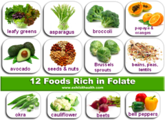 <p>Dark green leafy vegetables (turnip greens, spinach, romaine lettuce, asparagus, Brussels sprouts, broccoli)</p><p>Beans.</p><p>Peanuts.</p><p>Sunflower seeds.</p><p>Fresh fruits, fruit juices.</p><p>Whole grains.</p><p>Liver.</p><p>Seafood.</p>