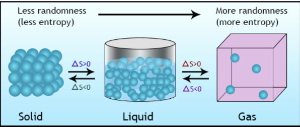 <ol><li><p>S<sub>Gases</sub> > S<sub>Liquids</sub> > S<sub>solids</sub></p></li><li><p>S<sub>Dissolved</sub> > S<sub>solid</sub></p></li><li><p>S<sub>2 moles</sub> > S<sub>1 mole</sub></p></li></ol><ul><li><p>Decomposition reactions AB → A + B typically have an increase in entropy</p></li><li><p>Synthesis reactions A + B → AB typically have a decrease in entropy</p></li></ul><ul data-type="taskList"><li data-checked="false" data-type="taskItem"><label><input type="checkbox"><span></span></label><div><p>Since Entropy (S) is a state function, it can be calculated using the following:</p></div></li><li data-checked="false" data-type="taskItem"><label><input type="checkbox"><span></span></label><div><p>ΔS<sup>o</sup> = ΔS<sup>o</sup>products - ΔS<sup>o</sup>reactants</p></div></li></ul><p></p>