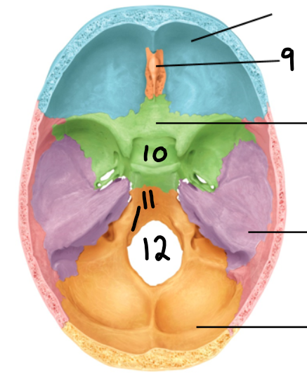 <p>name feature ten</p>