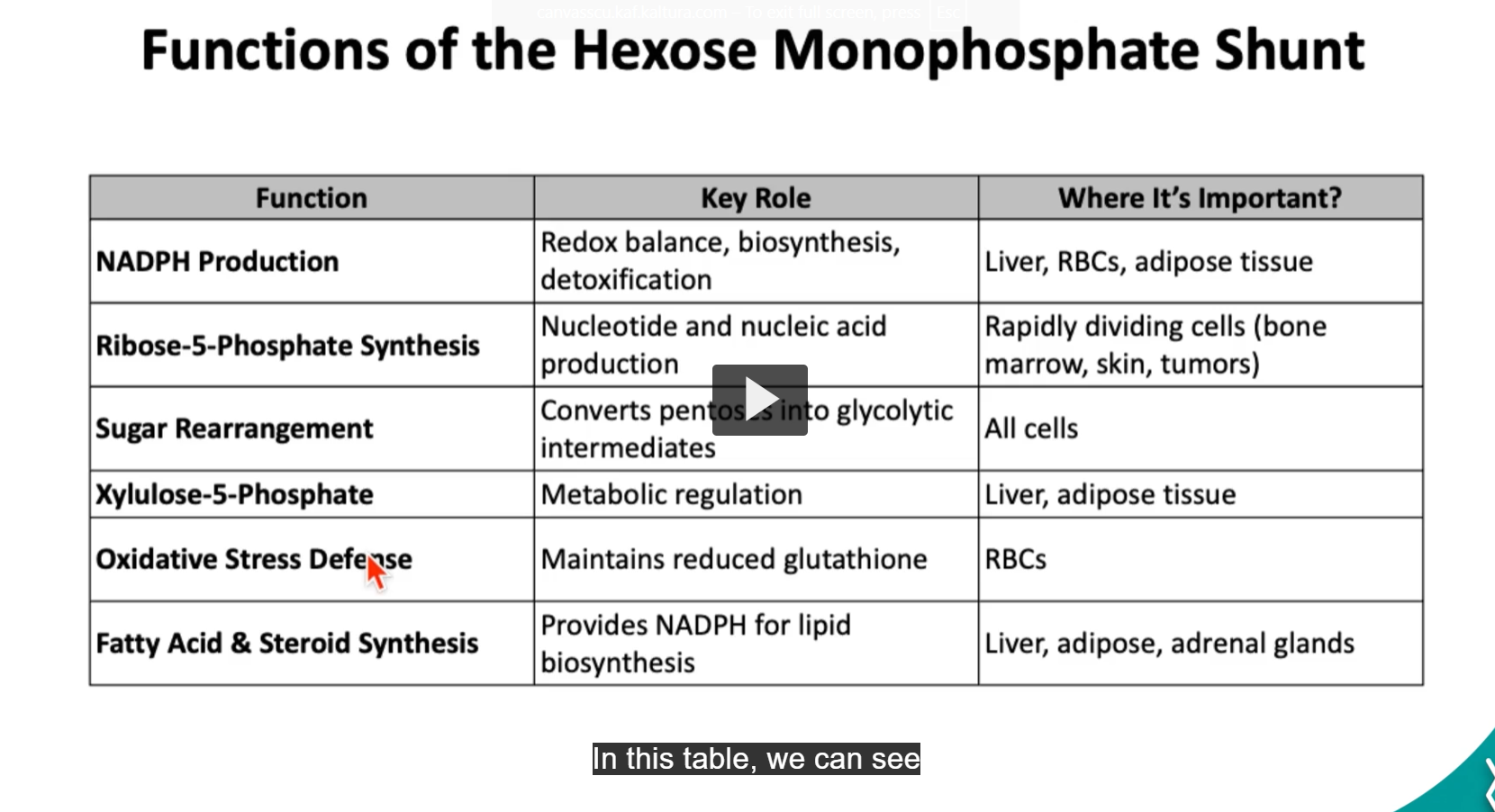 <p>Functions of the hexose monophosphate pathway: Oxidative Stress Defense</p>