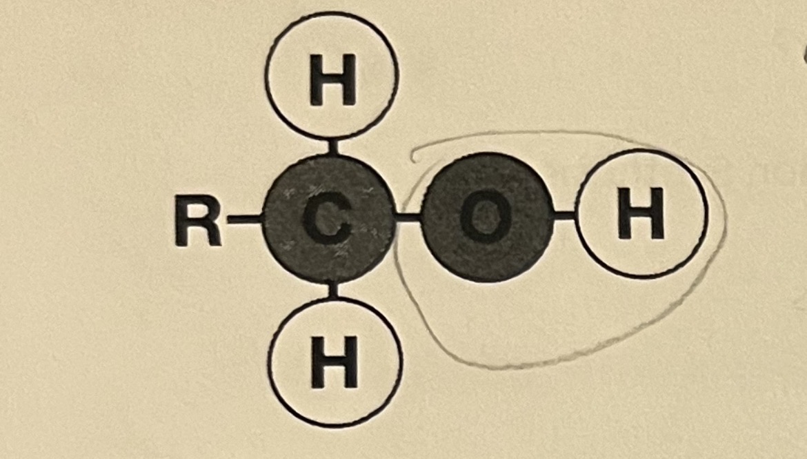 <p><span><span>Name the following functional group. Is this polar or non-polar? Is it hydrophilic or hydrophobic? </span></span></p>