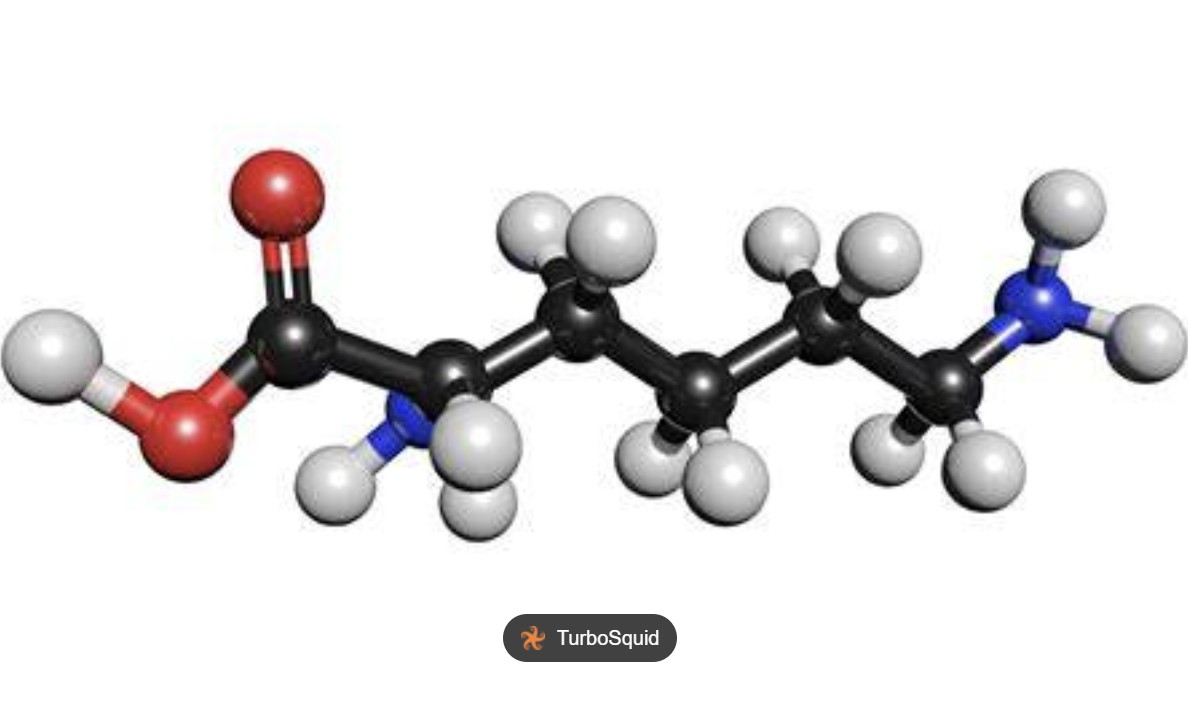 <p>NH2 (CH2)4 CH NH2 COOH; 6</p>