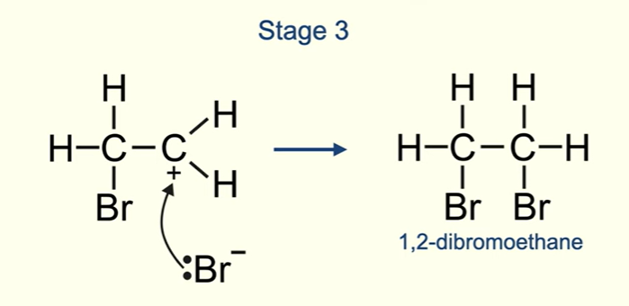 <p>The electron pair on the bromide ion are attracted to the positive carbon atom in the carbocation intermediate</p><p>This electron pair now forms a covalent bond and we have our final product. In this case the product is 1,2 dibromoethane</p><p>The halogen molecule adds across the double bond, this means that two halogen atoms end up on two  adjacent carbon atoms.</p>