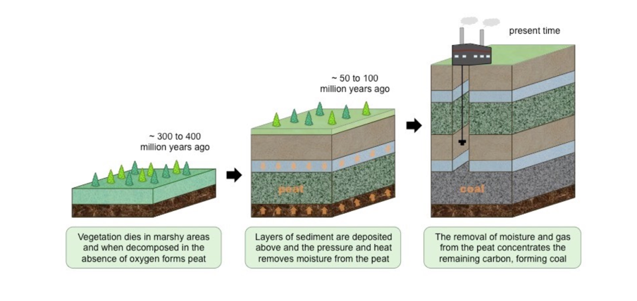 <p>Geosphere: carbon storage:</p>
