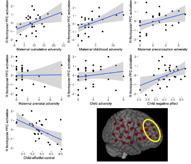 <ul><li><p><strong>Sample: 150 families</strong></p></li><li><p><strong>Maternal adversity (risk factors):</strong></p><ul><li><p>Measured through <strong>maternal self-reports</strong></p></li><li><p>Includes <strong>family/environmental stressors</strong> (e.g., hardship, stress, contextual risks affecting child)</p></li></ul></li><li><p><strong>Cognitive task (inhibitory control):</strong></p><ul><li><p>Children repeatedly <strong>touch a screen</strong> but must occasionally <strong>inhibit/stop their response</strong></p></li><li><p>Measures <strong>ability to override automatic behavior and control impulses - </strong>Focus on <strong>prefrontal cortex</strong> (key for cognitive control)</p></li></ul></li></ul><ul><li><p><strong>Child temperament (negative control): </strong>Children who are more <strong>sensitive, reactive, easily distressed</strong></p></li></ul><ul><li><p><strong>Key findings:</strong></p><ul><li><p><strong>Prefrontal oxygenation (brain activity) is linked to Maternal risk factors, Child temperament (negative reactivity/control)</strong></p></li><li><p><strong>fNIRS findings across studies:</strong></p><ul><li><p>Prefrontal oxygenation <strong>increases as task difficulty increases</strong></p></li><li><p>More difficult tasks → <strong>greater neural resource recruitment</strong></p></li></ul></li></ul></li><li><p><strong>Main results:</strong></p><ul><li><p>Children with <strong>higher maternal adversity + more negative temperament</strong> → Show <strong>greater prefrontal oxygenation during tasks</strong></p></li><li><p>Indicates <strong>increased brain activation</strong> during inhibitory control</p></li></ul></li><li><p><strong>Interpretation:</strong></p><ul><li><p><strong>Increased activation = more neural effort/resources required — </strong>Cognitive control tasks are <strong>more effortful at the neural level</strong> for these children - Even if behavior looks similar, their brains are <strong>working harder</strong></p></li></ul></li><li><p><strong>Conclusion / Impact:</strong></p><ul><li><p><strong>Maternal adversity is associated with increased right prefrontal activity</strong> in children</p></li><li><p>Children exposed to higher risk are <strong>not incapable</strong>, but:</p><ul><li><p>Must <strong>recruit more neural resources</strong></p></li><li><p>Tasks are <strong>harder at the neural level</strong> to achieve the same performance</p></li></ul></li><li><p>Demonstrates how <strong>early environmental risk influences brain function</strong>, not just behavior</p></li></ul></li></ul><p></p>