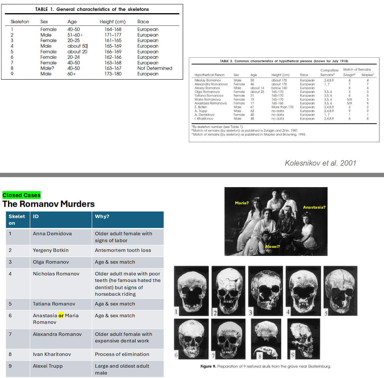 <p>Closed Cases: The Romanov Murders</p>