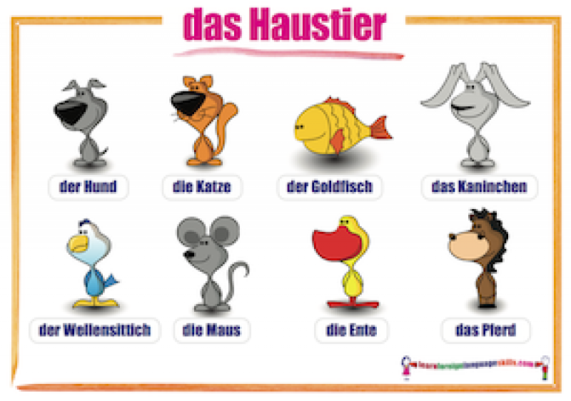 <p>das Haustier (-e)</p>