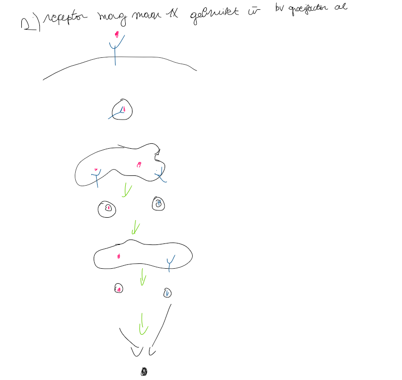 <p>groeifactoren</p><p>vb epidermale groeifactor</p>