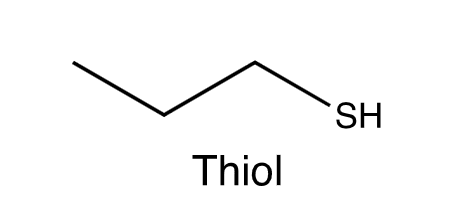 <p>C3 H7 Bonded to SH (Zig-zag)</p>