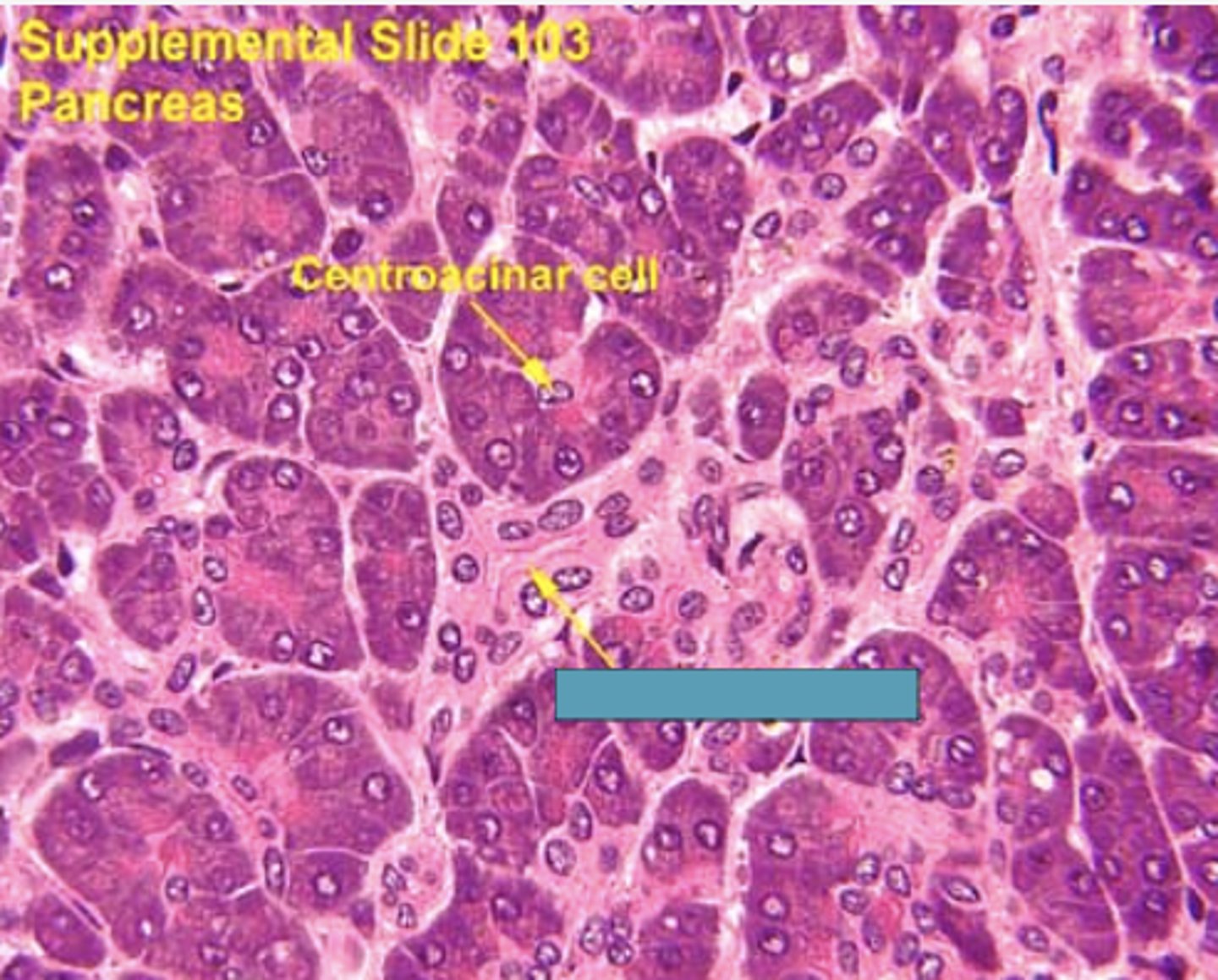 <p>Identify the structure</p>