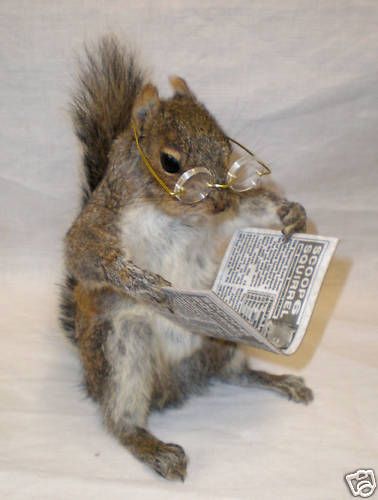 <p>Curious (adjective)</p>