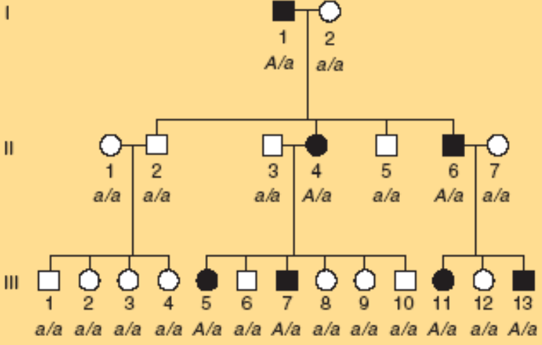 <p>Dominuojantis autosominis paveldėjimas</p>