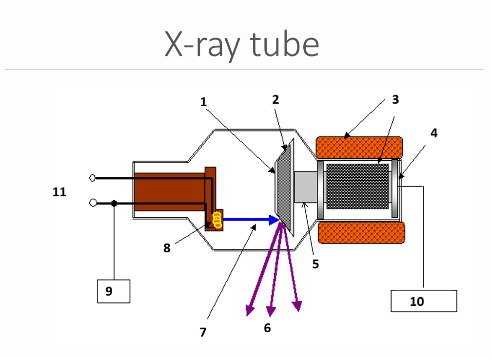 <p>What is 1?</p>