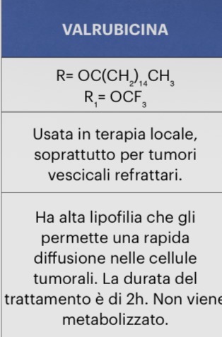 <ul><li><p><strong><u>C14</u></strong></p><ul><li><p>estere valerico</p></li></ul></li><li><p><strong><u>P3</u></strong></p><ul><li><p>porzione trifluoroacetamidica</p></li></ul></li><li><p><strong><u>effetto C14+P3</u></strong></p><ul><li><p>aumento logP</p></li><li><p>diffusione cellule tumorale</p></li><li><p>intercalazione DNA</p><ul><li><p>inibisco topo 2</p></li></ul></li></ul></li></ul><p></p>