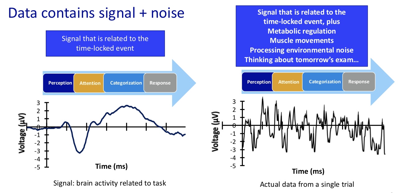 <p>signal + noise </p><p></p>