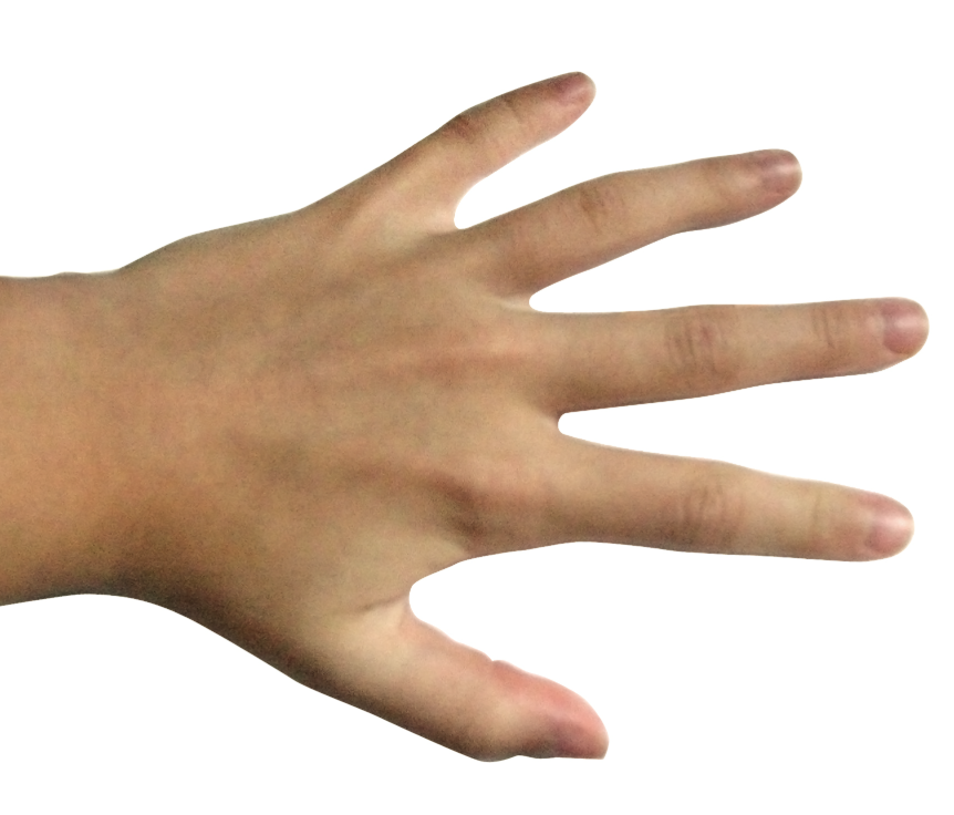 term image