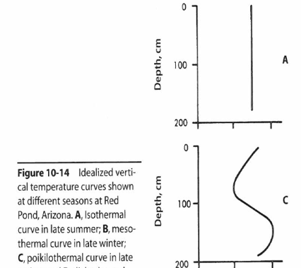 <p>What the fuck kind of graph is this?</p>