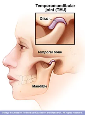 <p>the joint that allows for opening (mandibular depression) and closing (mandibular elevation) of the mouth</p><p>also side-to-side and protraction/retraction motions of lower jaw</p>