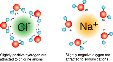 <ul><li><p>soluble in polar substances</p></li><li><p>ions are charged particles and strong electrostatic attraction</p></li><li><p>polar solvent is able to overcome electrostatic attraction, breaking apart lattice - causing it to dissolve</p></li></ul><p><strong>HOWEVER</strong></p><ul><li><p>they are insoluble in non-polar solvents</p></li><li><p>non-polar solvents do not have a strong attraction with ions, cannot overcome electrostatic attraction</p></li></ul><p></p>