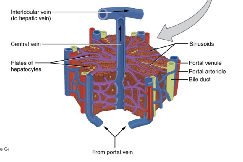 <p>What is this?</p>