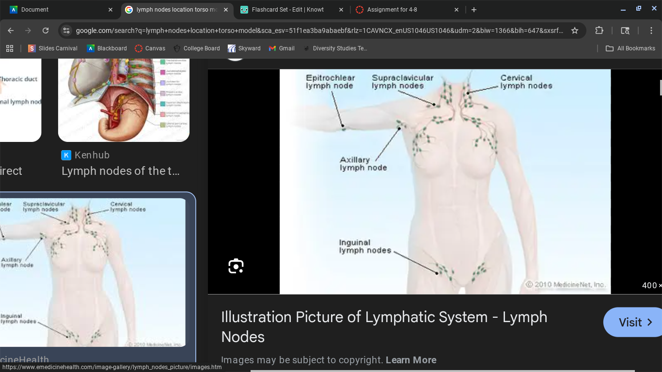 knowt flashcard image