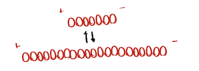 <p><strong>structure</strong>: rods of round globular actin proteins</p><ul><li><p>have polarity ( + & - end)</p></li><li><p><em>G-actin = monomer</em></p></li></ul><p>→ G-actins are <span style="color: rgb(176, 241, 243);">added/removed from BOTH ends</span> (both active)</p><p>→ located <span style="color: rgb(147, 224, 203);">in cell cortex & inside microvilli </span>in gut cells</p><p></p><p>function: </p><ul><li><p>animals/plants: resist tension w IFs</p></li></ul><p></p>