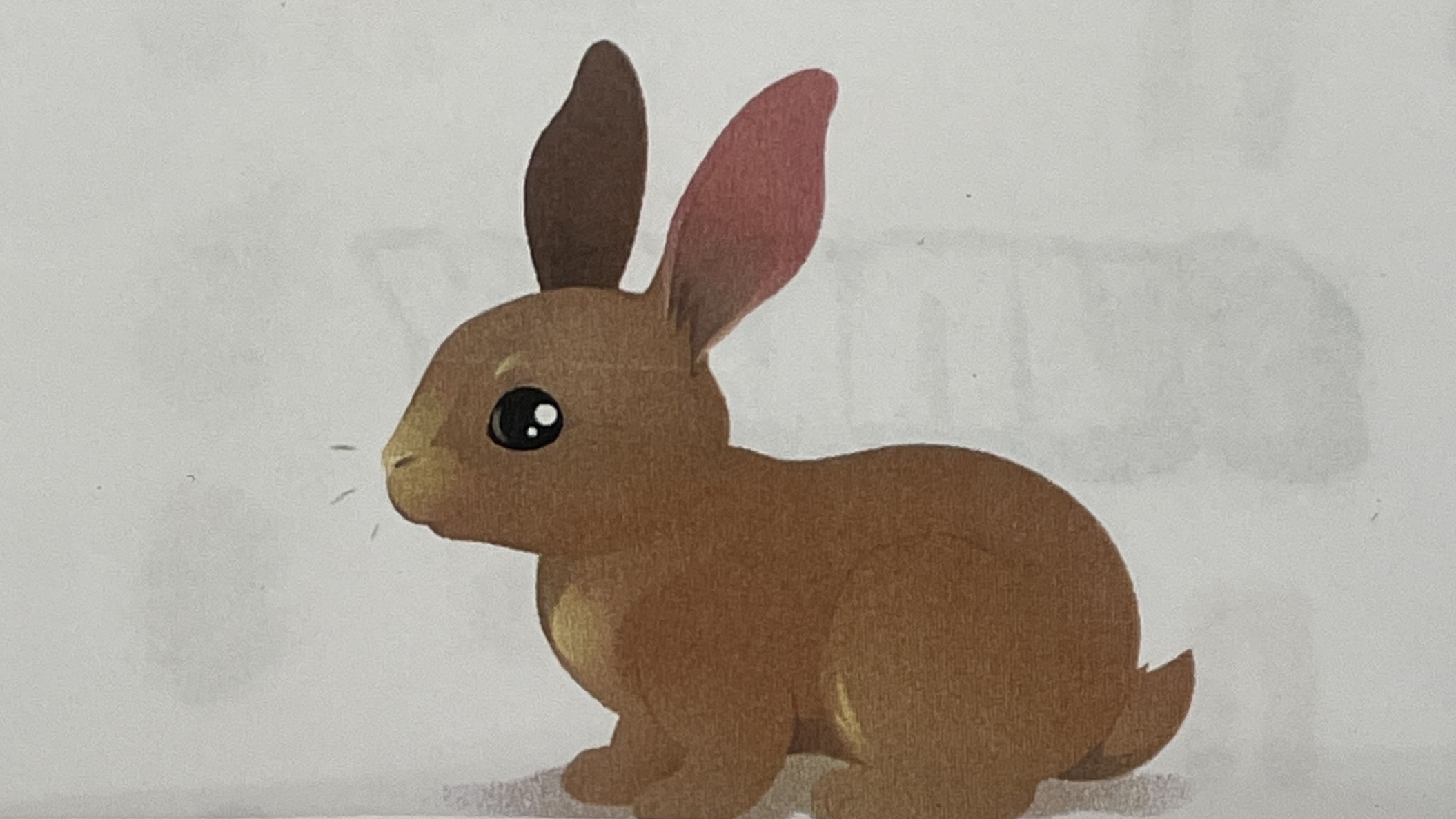 <p>rabbit</p>