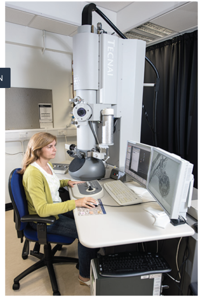<p>Transmission electron microscope (TEM)</p>