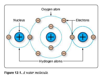 <p>Water (H<sub>2</sub>O)</p>