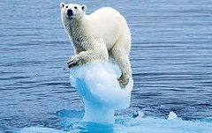 <p>Long-term alterations in temperature and weather patterns, often attributed to human activities.</p>