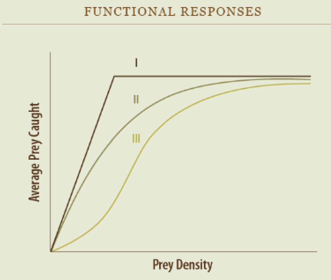 <p>Functional Response Curve</p>