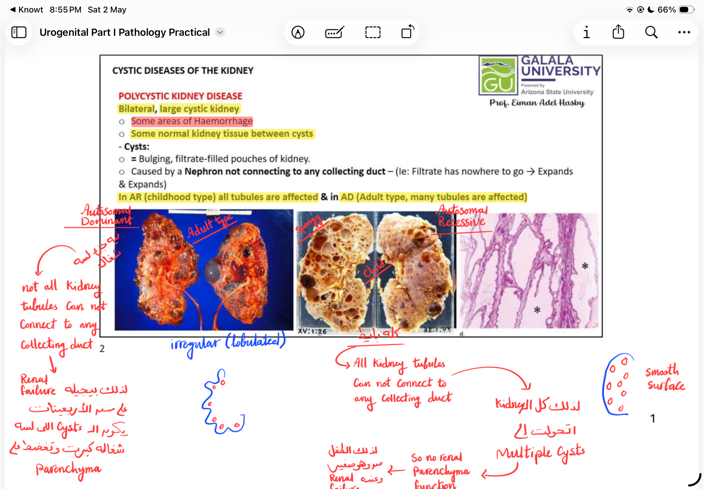 knowt flashcard image